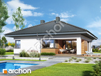 Проєкт будинку ARCHON+ Будинок в хакетіях 5 