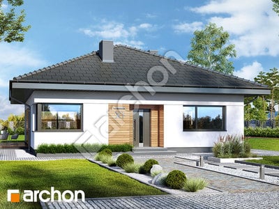 Проєкт будинку ARCHON+ Будинок в хакетіях 5 