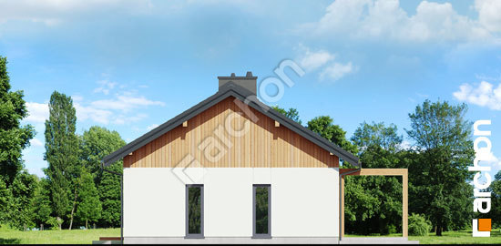 Боковой фасад Дом в баллотах 2