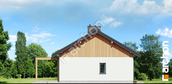 Боковой фасад Дом в баллотах 2