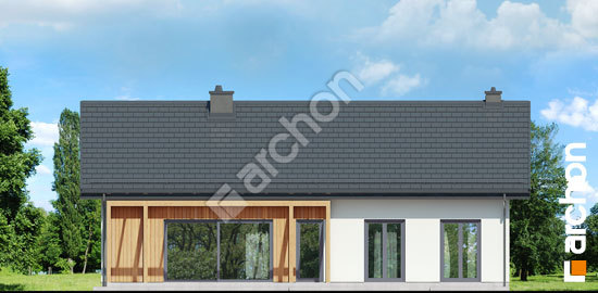 Дворовий фасад Будинок в баллотах 2