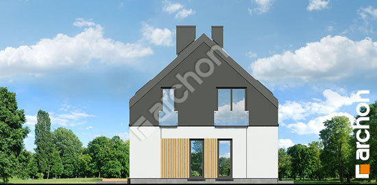 Бочний фасад Будинок в косариках 3