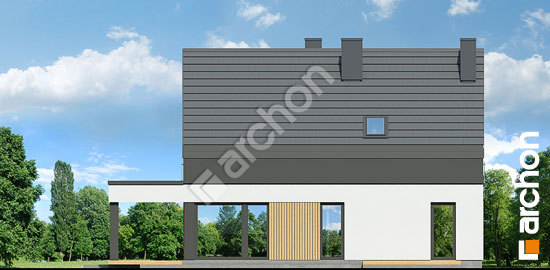 Дворовий фасад Будинок в косариках 3