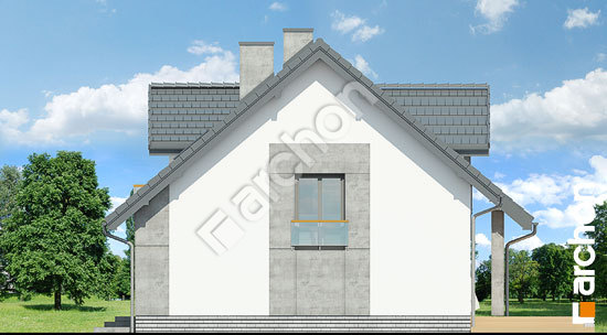 Боковой фасад Дом в филодендронах 3