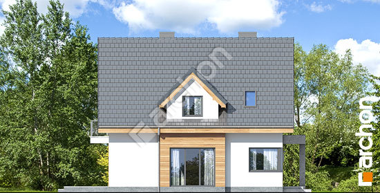 Бочний фасад Будинок у медунках (Н)