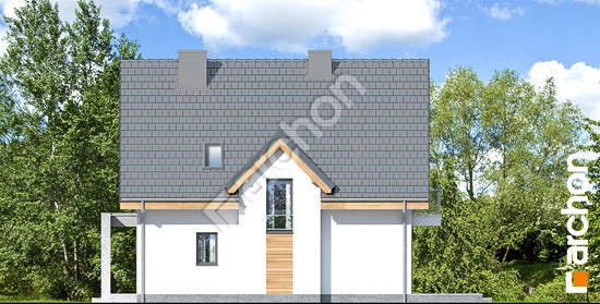 Бочний фасад Будинок у медунках (Н)