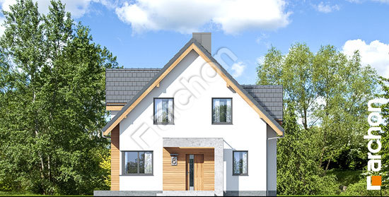 Передний фасад Дом в медуницах (Н)