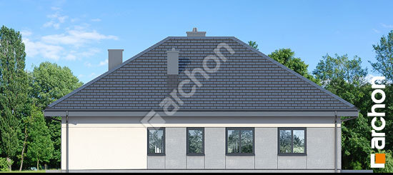 Бочний фасад Будинок в хакетіях 8