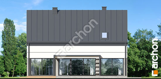 Дворовой фасад Дом под грабами 2 (Е)