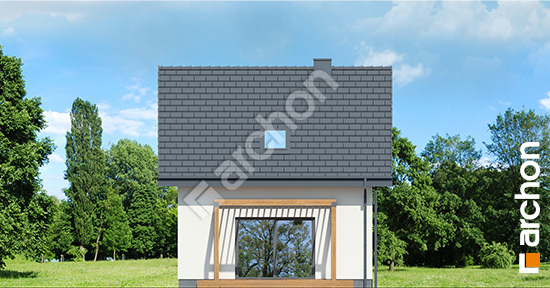 Дворовий фасад Будинок в брусниці (НЕ) ВДЕ