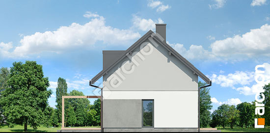 Бочний фасад Будинок в чорниці