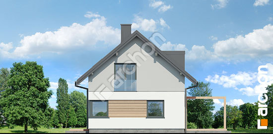 Боковой фасад Дом в чернике