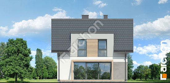 Дворовой фасад Дом в чернике