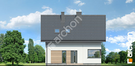 Передній фасад Будинок в чорниці