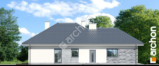 Бочний фасад Будинок в трояндах (Г2)