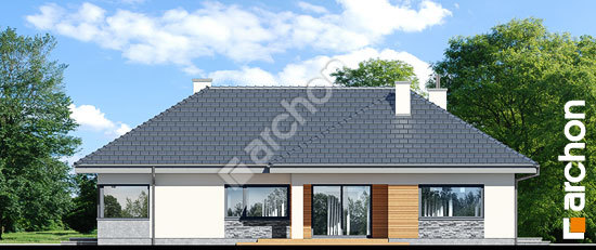 Дворовой фасад Дом в розах (Г2)