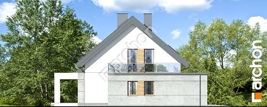 Бочний фасад Будинок в арабісах