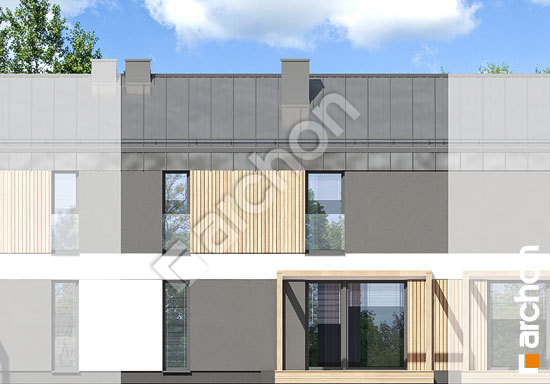 Дворовой фасад Дом в эверниях (С)