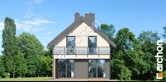 Дворовий фасад Будинок в сон-траві 7