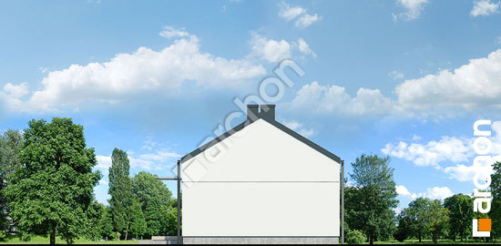 Бочний фасад Будинок в ірисах 5 (Н)