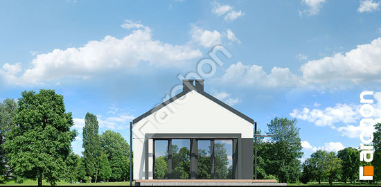 Бочний фасад Будинок в ірисах 5 (Н)