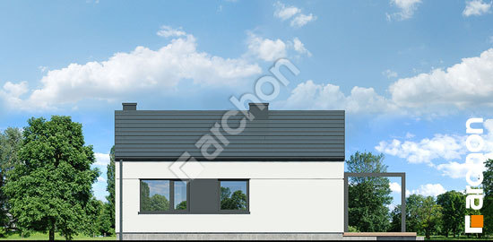 Дворовой фасад Дом в ирисе 5 (Н)