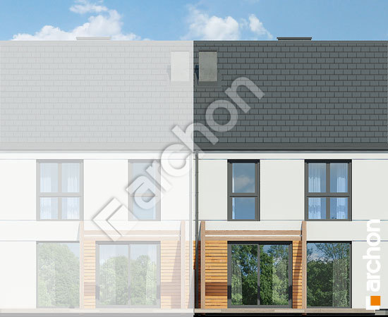 Дворовий фасад Будинок під гінко 15 (ГС)