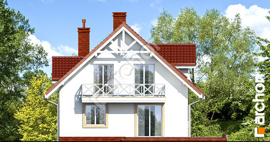 Дворовий фасад Будинок під фісташковим деревом вер.2