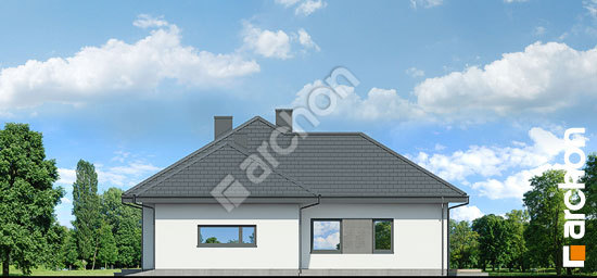 Бочний фасад Будинок в підсніжниках 7 (Г2)