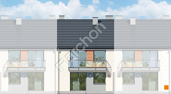 Дворовий фасад Будинок в фіалках (Р2С) вер.2