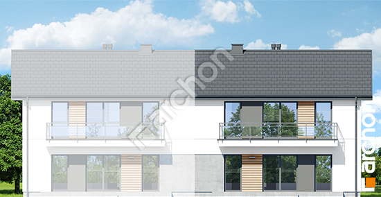 Дворовий фасад Будинок в пілеях (Р2БЕ) вер.3