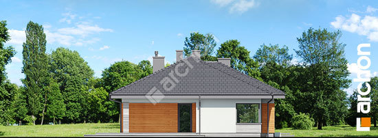 Дворовий фасад Будинок в обрієті 2 (Г2)