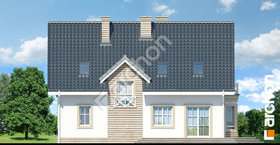 Дворовий фасад Будинок в сапфірах вер.2