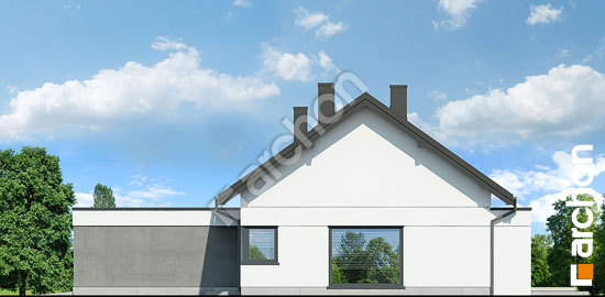 Бочний фасад Будинок в нарахнілах 3 (Г2)