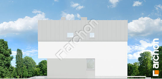 Бочний фасад Будинок в мускатах 2 (Б)