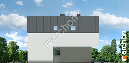 Боковой фасад Дом в мускатах 2 (Б)