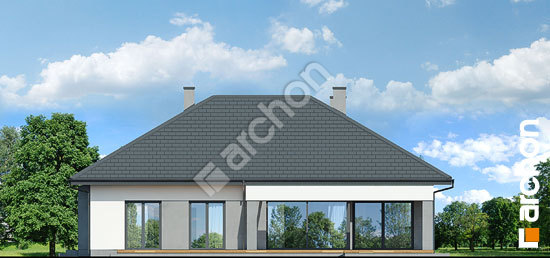 Бочний фасад Будинок в підсніжниках 8 (Г2)