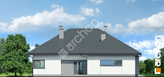 Боковой фасад Дом в подснежниках 8 (Г2)