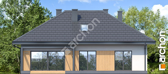 Дворовой фасад Дом под красной рябиной 12 (Н)