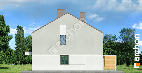 Бочний фасад Будинок в рівіях (Б)