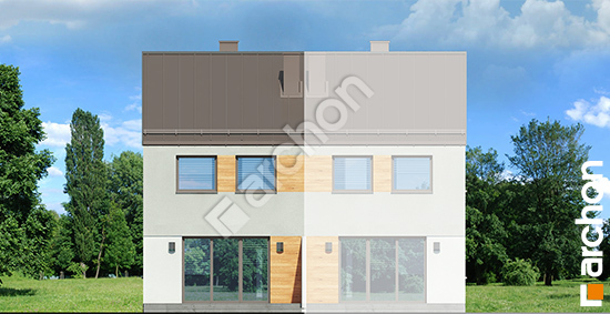 Дворовий фасад Будинок в рівіях (Б)