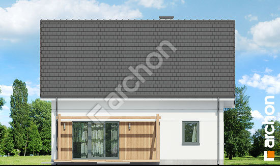 Дворовий фасад Будинок в хлорофітумі (Т)