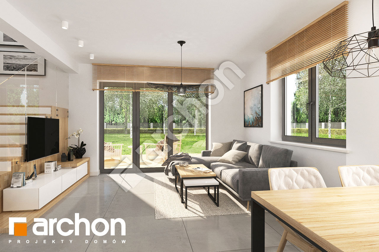Проект будинку ARCHON+ Будинок в хлорофітумі (Т) денна зона (візуалізація 1 від 1)