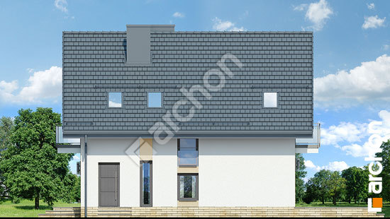 Боковой фасад Дом в рододендронах 21 (НТ)