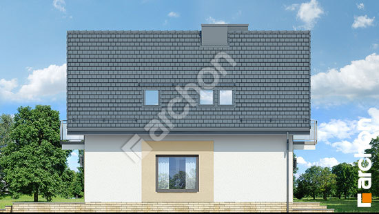 Боковой фасад Дом в рододендронах 21 (НТ)