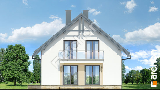 Дворовой фасад Дом в рододендронах 21 (НТ)