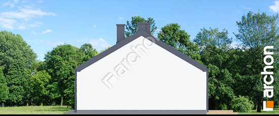 Бочний фасад Будинок в акебіях 7