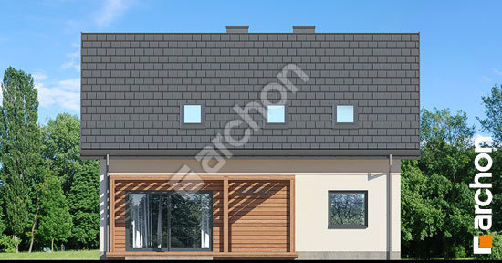 Дворовий фасад Будинок в хлорофітумі 16