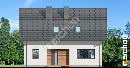 Передній фасад Будинок в хлорофітумі 16