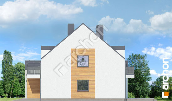 Бочний фасад Будинок під агавами 2 (Р2)